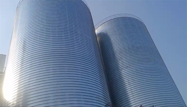 海伦2座混凝土高架卷板仓